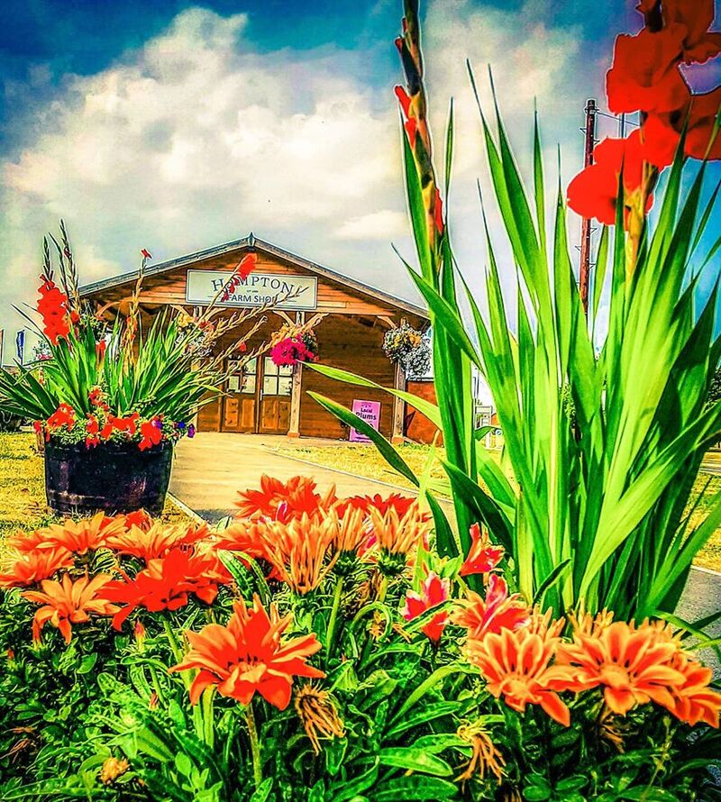 Bellway Homes Evesham, Hampton, Worcester 26m x 6.1m Farm Shop